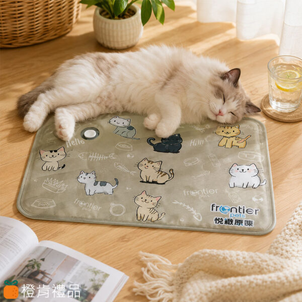 Cooling Water Mat (4) 注水散熱冰墊